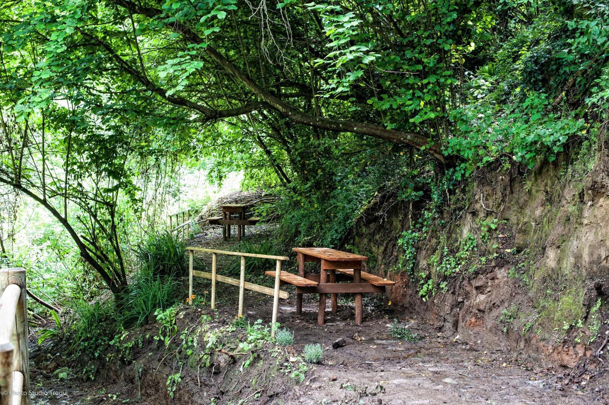 Il Giardino Dei Flintstones B&B Cerveteri Zewnętrze zdjęcie